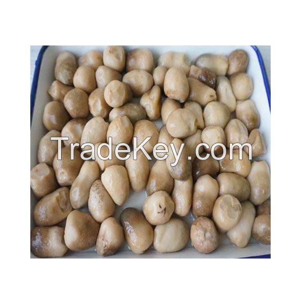 Canned Peeled Straw Mushroom Whole in Brine