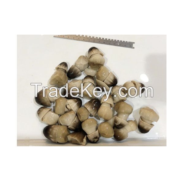 Canned Peeled Straw Mushroom Whole in Brine