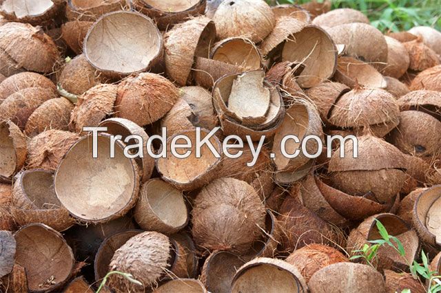 Coconut Shell Powder for sale