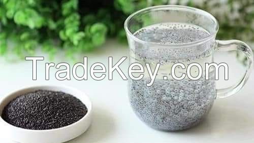 nut High quality - Best price Basil Seeds / Ocimmum Basillicum For Sowing /