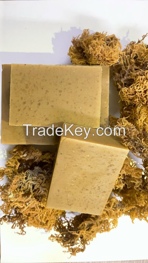 Wholesale Natural Soap/ Handmade Sea Moss Soap for Export