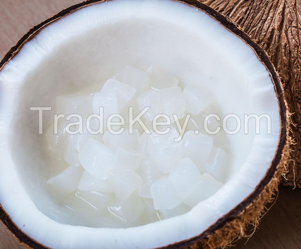 Raw Nata De Coco/ Coconut Jelly with Syrup/ Bulk Quantity 