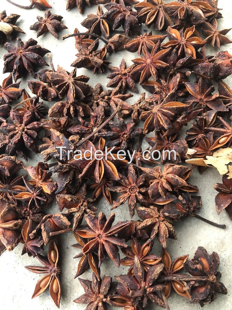 High Quality Star Anise/ Star Aniseed/ Illicium Verum - Hot Spices and Herbs