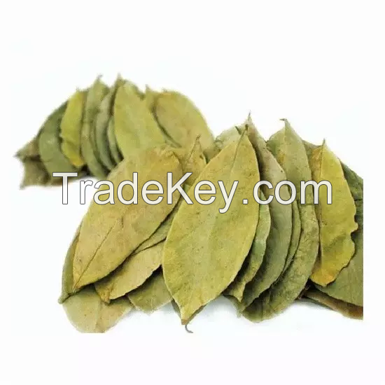 Guyabano Tea - Organic Dried Soursop Leaf - Dried Graviola Leaves -