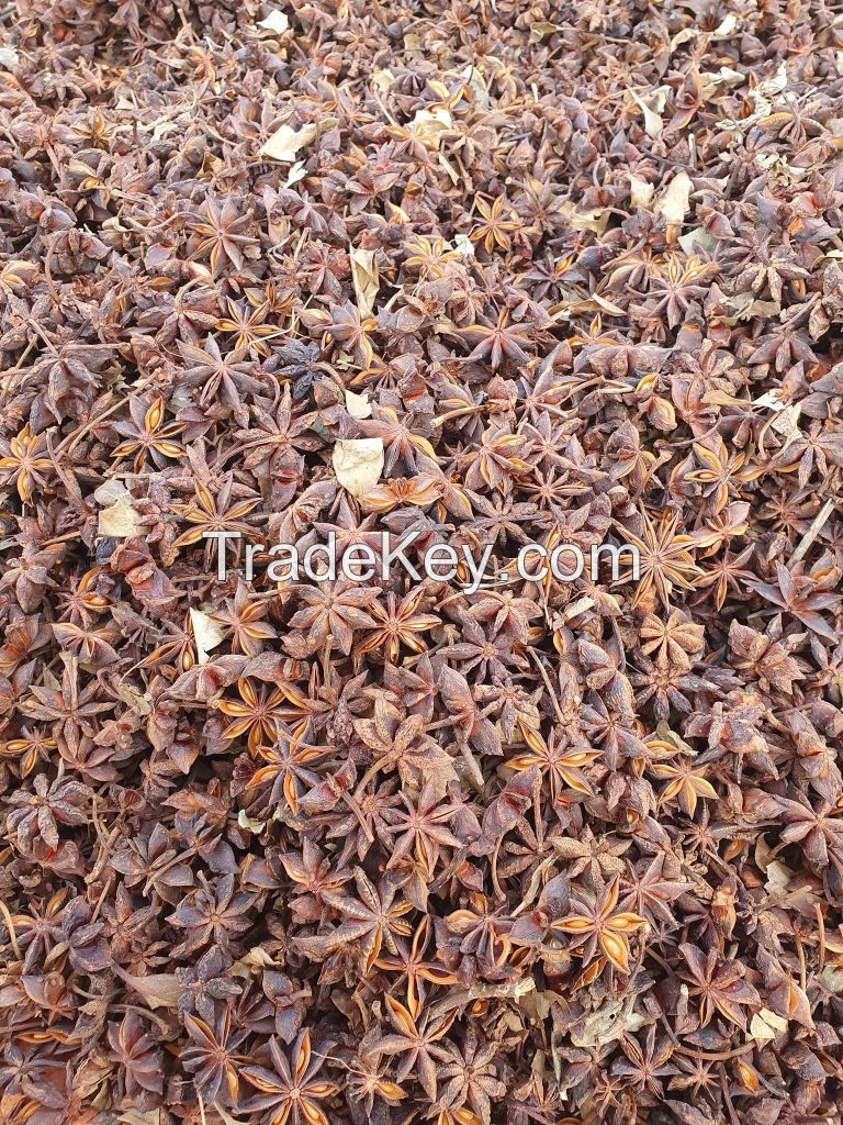 High Quality Star Anise/ Star Aniseed/ Illicium Verum - Hot Spices and Herbs