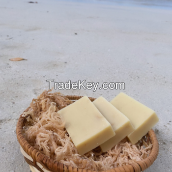 Wholesale Natural Soap/ Handmade Sea Moss Soap for Export