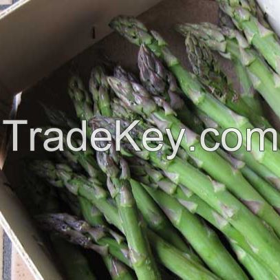 Fresh Asparagus for Sale