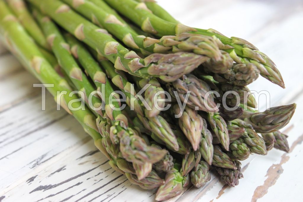 Fresh Asparagus for Sale