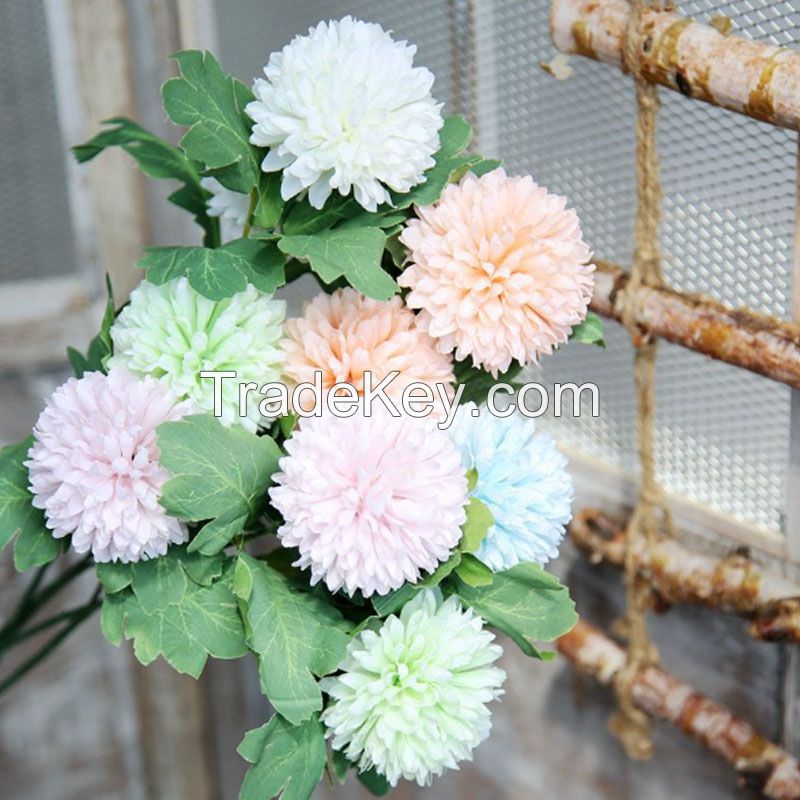 Fresh cut Chrysanthemums flower