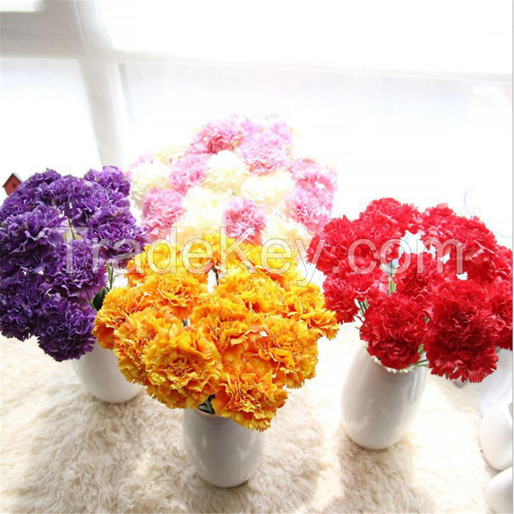 High quality carnation Flowers