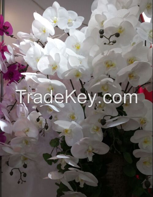 high quality real touch orchid Flowers