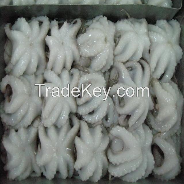 Octopus Live Fresh Frozen Cleaned Baby Octopus Frozen long-leg Gutted 200-300g,300-500g