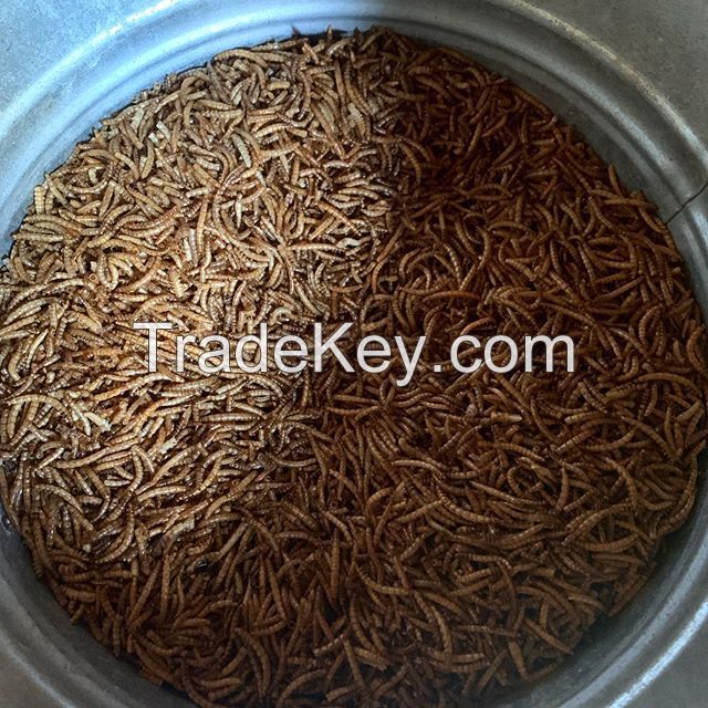 Dried mealworms High Protein Dried Mealworms pet food fish food ANIMAL FEED bulk mealworm Dried black soldier fly mealworms