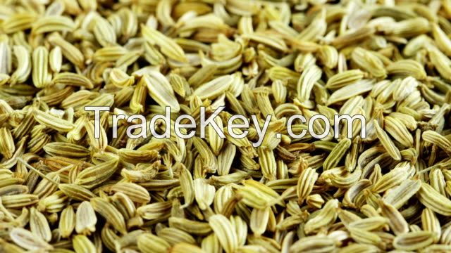 fennel ground seeds powder, flakes, fennel ground AROMATIC FENNEL POWDER seasoning raw material Supplier wholesales foeniculum