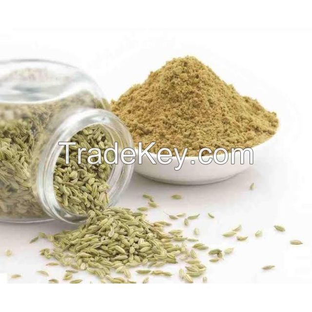 fennel ground seeds powder, flakes, fennel ground AROMATIC FENNEL POWDER seasoning raw material Supplier wholesales foeniculum