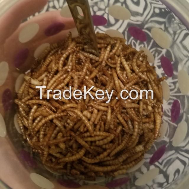 Dried mealworms High Protein Dried Mealworms pet food fish food ANIMAL FEED bulk mealworm Dried black soldier fly mealworms