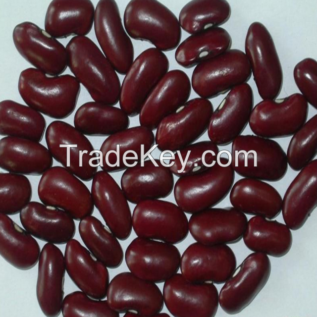 Kidney Beans Beans sugar pinto beans for sale Black White Red Cranberry Jugo