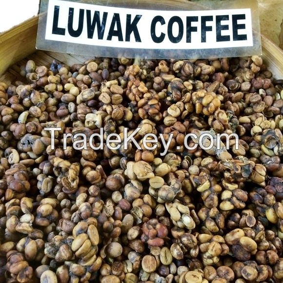 Kopi Luwak / Civet Coffee arabica 100% original thai premium quality roasted coffee bean organic product of Thailand