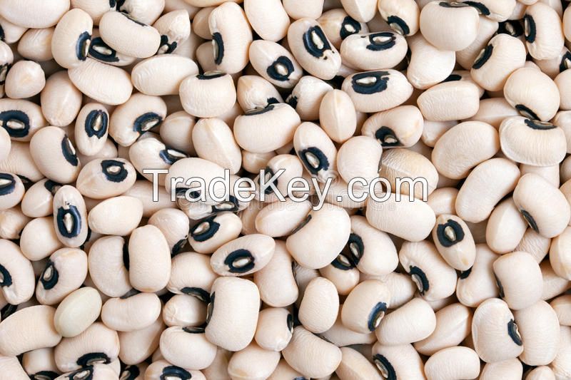 Thailand Origin Seller of Common Cultivation Type Dried Black Eyed Beans at Competitive Price
