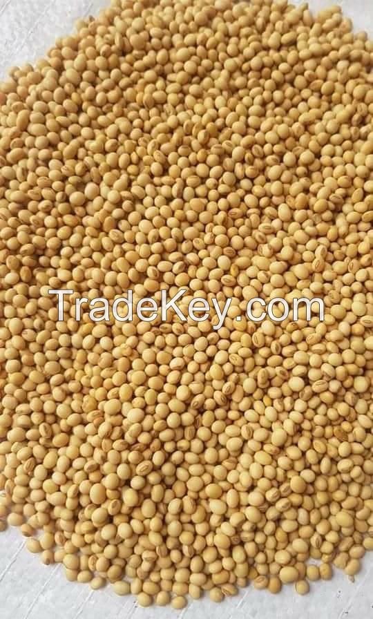 Soybeans NON-GMO Soya Beans Soybeans Crop High Quality Soybean/Soya Bean Wholesale