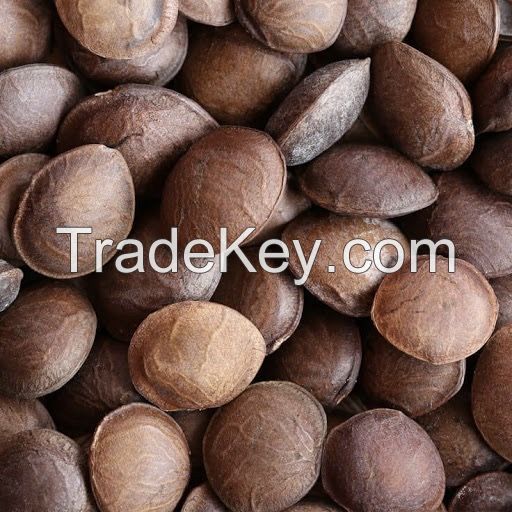 Vietnam dried sachi inchi seeds with high quality/cheap price/high nutrition