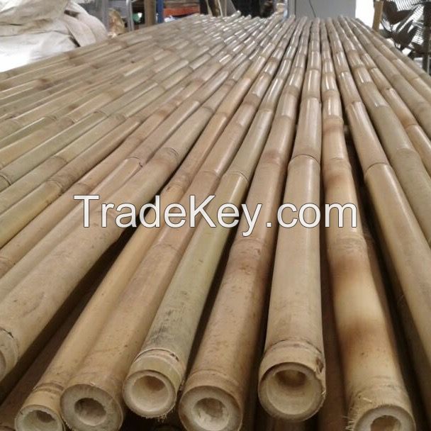 Bamboo Pole Guadua 5-7 x 500 cm