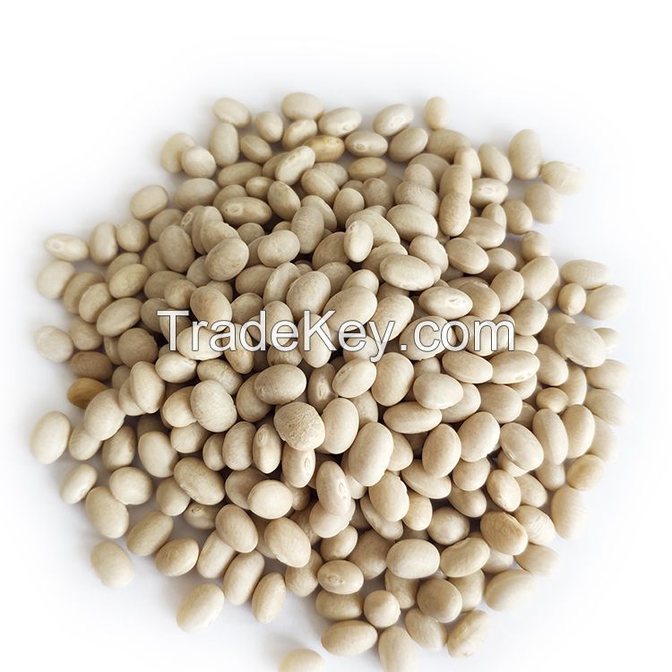 Wholesale Chinese Low Price White Navy Kidney Beans