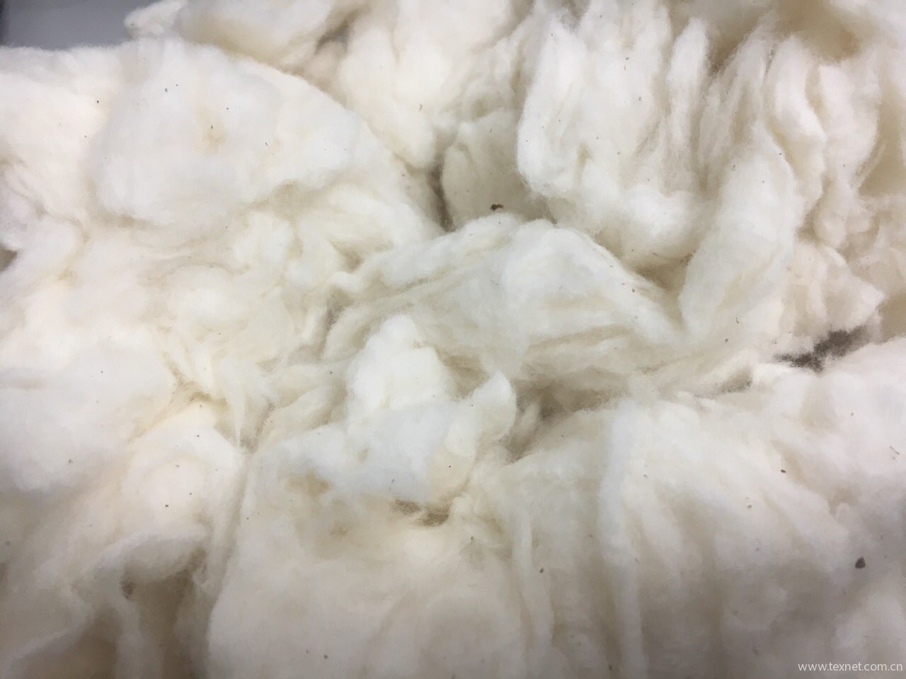 Cotton Linters, Refined Cotton Linter Pulp, Raw Cotton Linter For Sale