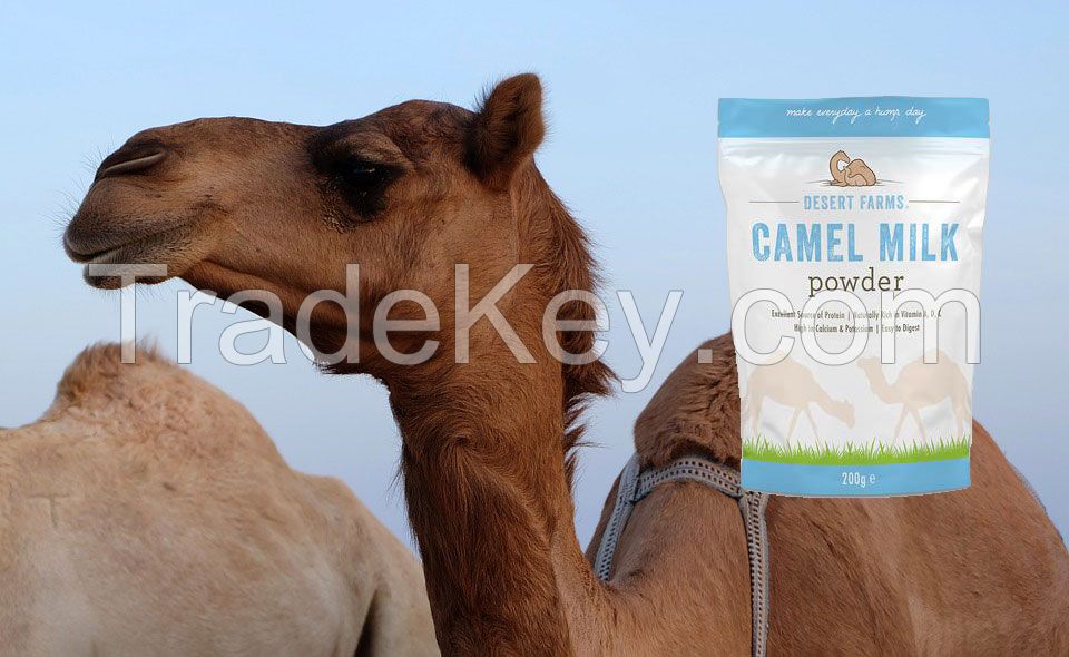 natural Camel Milk