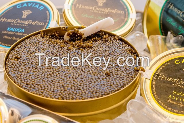 High Grade Hybrid Sturgeon Caviar Golden(sturgeon eggs)