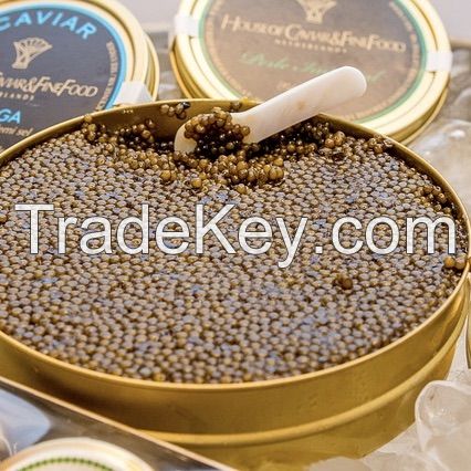 High Grade Hybrid Sturgeon Caviar Golden(sturgeon eggs)