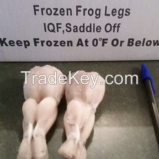 Fresh Frozen Frog Legs