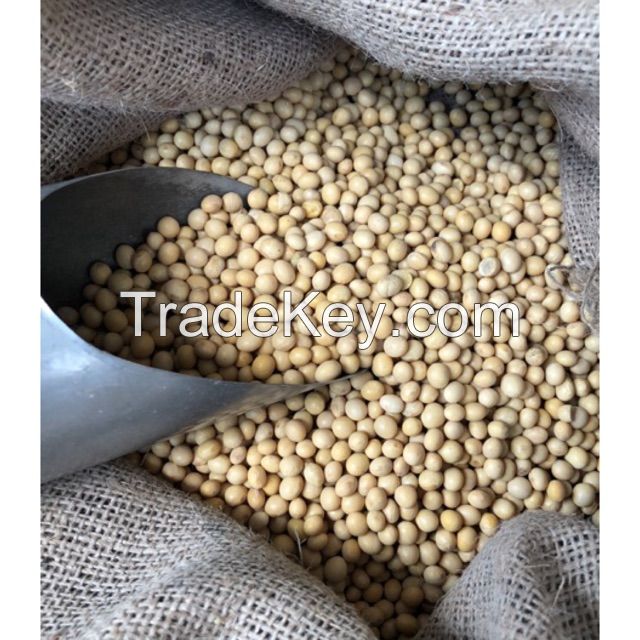 Soybeans NON-GMO Soya Beans Soybeans Crop High Quality Soybean/Soya Bean Wholesale