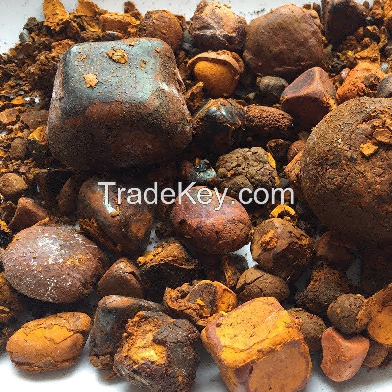 100% Natural Top Quality Ox Gallstones Cattle Gallstones Cow Gallstones