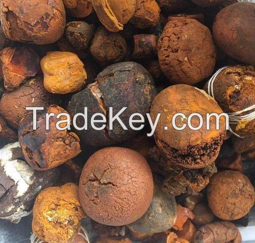 100% Natural Top Quality Ox Gallstones Cattle Gallstones Cow Gallstones