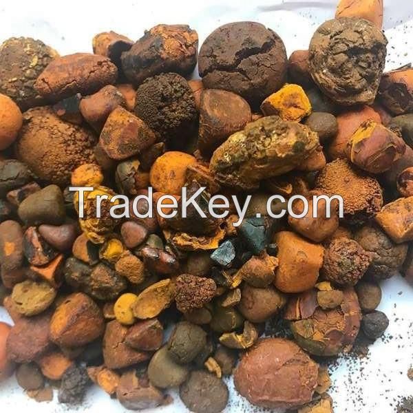 100% Natural Top Quality Ox Gallstones Cattle Gallstones Cow Gallstones