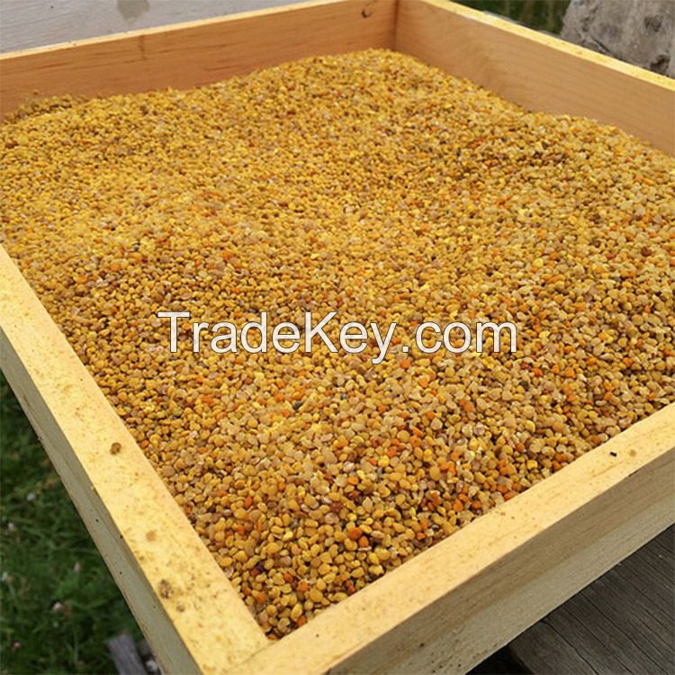 South African Bee Pollen for Sale