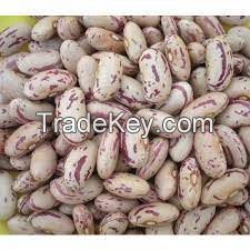 white kidney beans