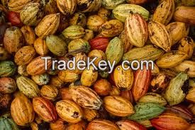 cocoa beans