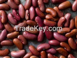 white kidney beans