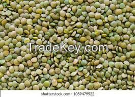 green and brown lentils