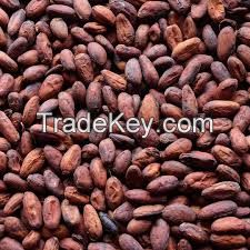 cocoa beans