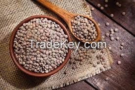 green and brown lentils