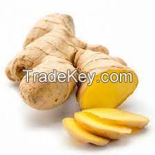 FRESH GINGER