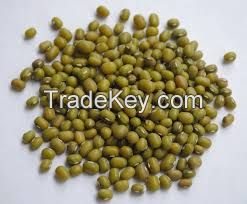 GREEN MUNG BEANS