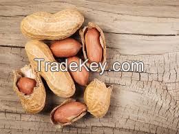 dried peanut