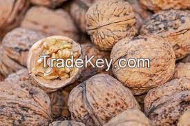 dried walnut