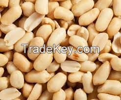 dried peanut