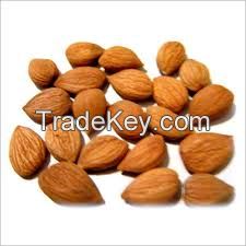 almond apricot kernels