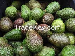 fresh avocados